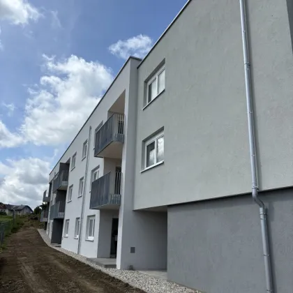 2-Zimmer Wohnung im EG mit Carport, Top 6, Miete mit Kaufoption! NEUBAU - Erstbezug - Bild 2