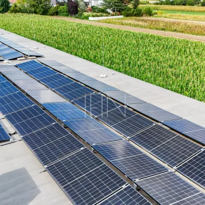 Familientraum in Neunkirchen - Einziehen & Wohlfühlen! - Bild 3