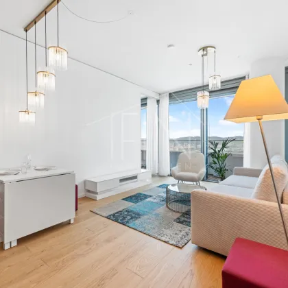 30. Stock - Skyline-View - Danube Flats - Bild 3