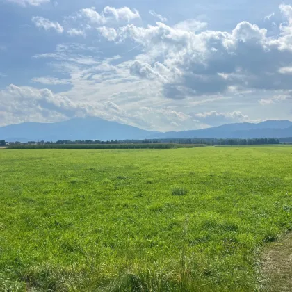 1,04 ha Wiesenfläche nahe Gewerbepark Fohnsdorf - Bild 2