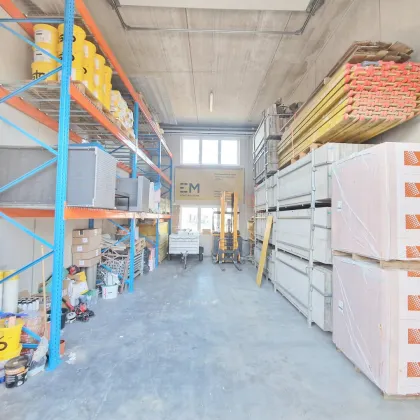 Tolle Halle im Business Park St. Florian zu Kaufen - Bild 3