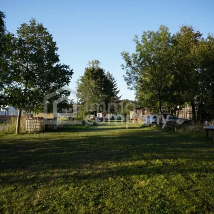 Ihr neuer Standort: Wohnen, Vermieten, Gewerbe – alles auf einem Grundstück - Bild 2