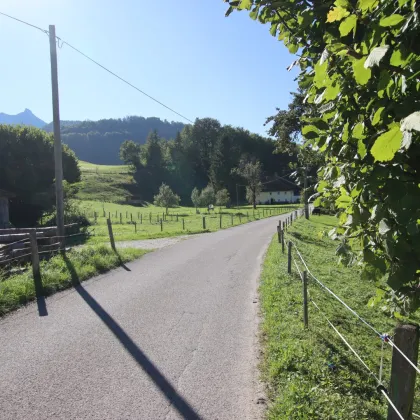 Sonnige Garconniere - Bad Ischl/Ramsau - Bild 3