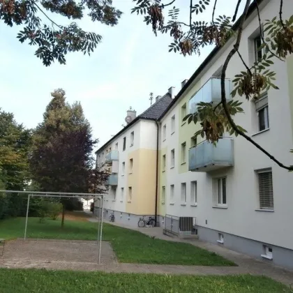 Ihr neues Zuhause: Familienfreundliche 4-Zimmerwohnung im Erdgeschoss mit ca. 83 m² direkt am Inn – Schärding, nahe deutsche Grenze! - Bild 2
