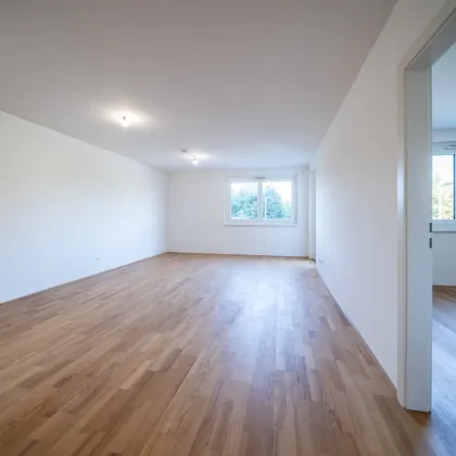 Sommer am Teich - im Leo am Teich - Wohnen am Wasser - Bild 3