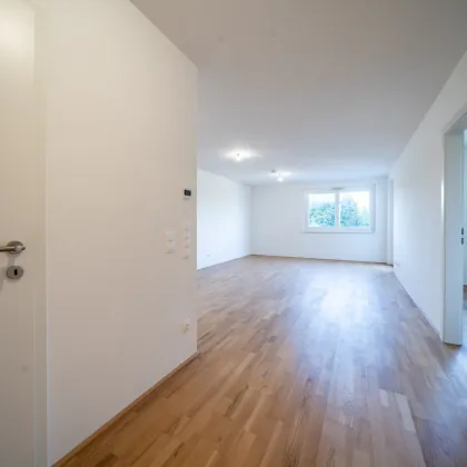 Sommer am Teich - im Leo am Teich - Wohnen am Wasser - Bild 2