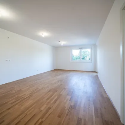 Sommer am Teich - im Leo am Teich - Wohnen am Wasser - Bild 3