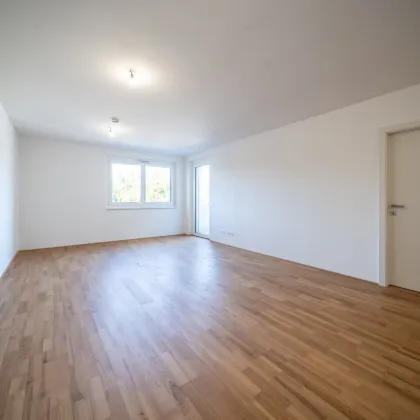 Sommer am Teich - im Leo am Teich - Wohnen am Wasser - Bild 2