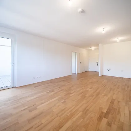 Sommer am Teich - im Leo am Teich - Wohnen am Wasser - Bild 2