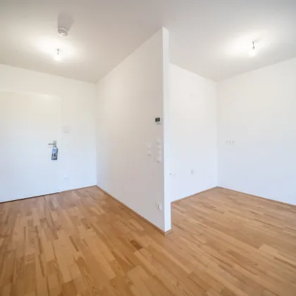 Sommer am Teich - im Leo am Teich - Wohnen am Wasser - Bild 3