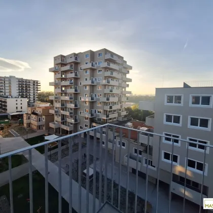 Sommer am Teich - im Leo am Teich - Wohnen am Wasser - Bild 2