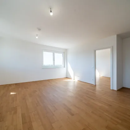 Sommer am Teich - im Leo am Teich - Wohnen am Wasser - Bild 3