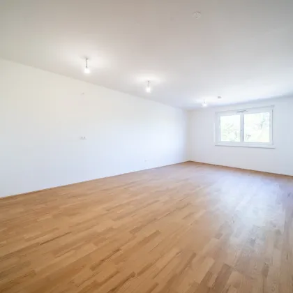 Sommer am Teich - im Leo am Teich - Wohnen am Wasser - Bild 3