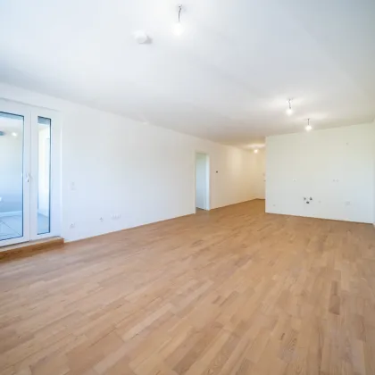 Sommer am Teich - im Leo am Teich - Wohnen am Wasser - Bild 2