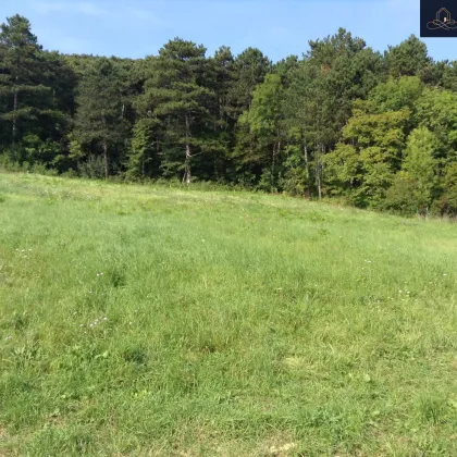 Exklusives Grundstück mit unverbaubarem Weitblick in Premiumlage am Mitterberg - Bild 2