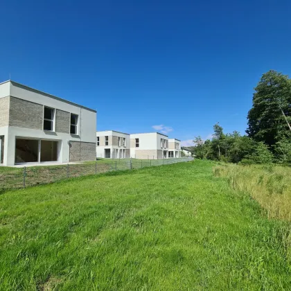 Neubau Erstbezug | Holzmassiv | Living Woods - Bild 2