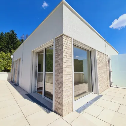 Neubau Erstbezug | Holzmassiv | Living Woods - Bild 3