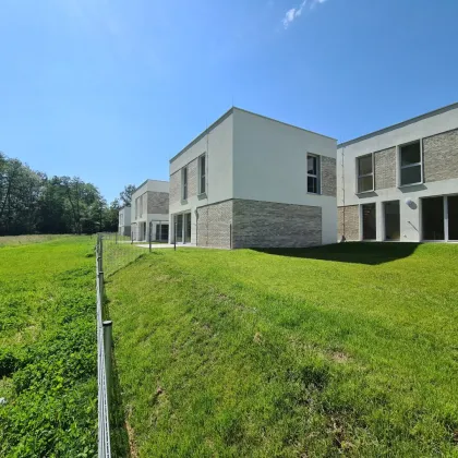 Neubau Erstbezug | Holzmassiv | Living Woods - Bild 2