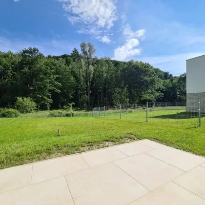 Neubau Erstbezug | Holzmassiv | Living Woods - Bild 3