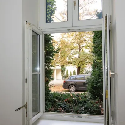 BADEN,  an der Fußgängerzone: top-saniertes Geschäftslokal / Büro bzw. Gewerbe-Räume:mit Teeküche (Anschlüsse), Toilette - Bild 3