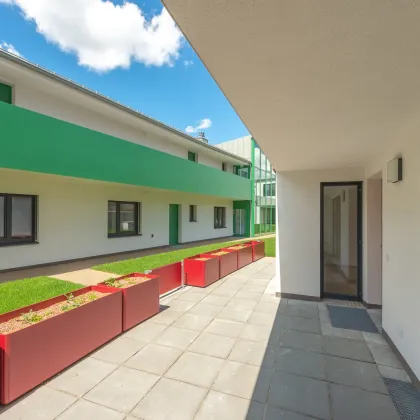Helle 2-Zimmer Wohnung mit Terrasse im Projekt Wallner-Hof // ab 1.12. verfügbar! - Bild 2