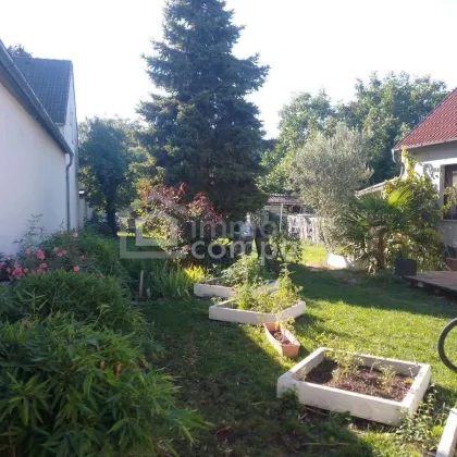 Haus in Mönchhof - 240.000 € mit sonniger Terrasse! - Bild 2
