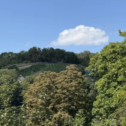 Die stille Adresse der hohen Ansprüche! - Bild 3