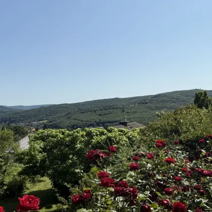 "Ein Zuhause mit Gefühl – und einem Blick, der berührt" | ZELLMANN IMMOBILIEN - Bild 2