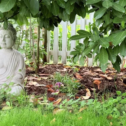 „EdelHoch10 - wohnen auf höchstem Niveau : zwischen Stadt & Natur" | ZELLMANN IMMOBILIEN - Bild 2