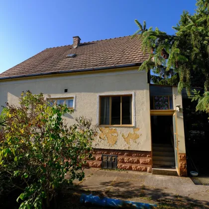 Großes Baugrundstück - 300m2 Grund verbaubar - Bild 3