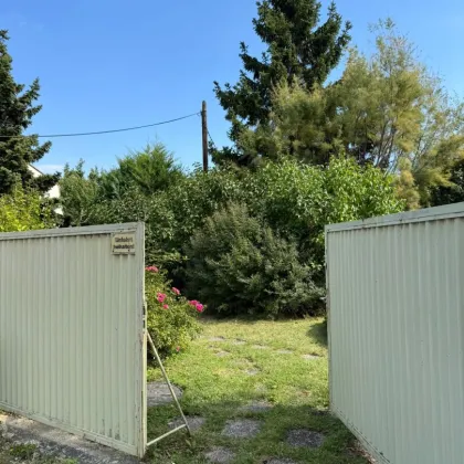 Top-Baugrundstück nähe Alte Donau und Donauzentrum - Bild 2