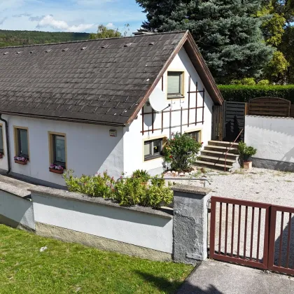 Piesting - für Wohngeniesser: Wunderbares, gepflegtes  Landhaus - Bild 2