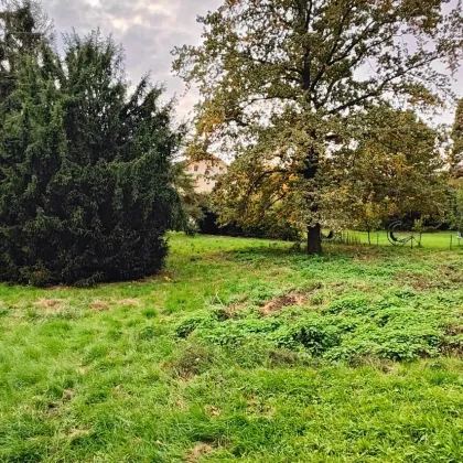 Traumhafte Fahnenparzelle am Fuße des Bisambergs - Bild 2