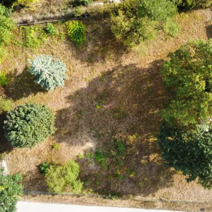 Baugrundstück nur 12 km von der Wiener Stadtgrenze - Ausgezeichnete Lage im Ausmaß von ca. 650 m² - Bild 2