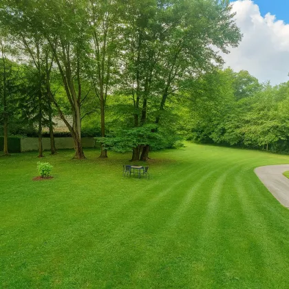 BAUGRUND AM LIESINGBACH – IHR PLATZ FÜR NATUR & LEBENSQUALITÄT - Bild 2