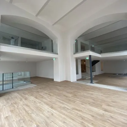 Zentral gelegene wunderschöne Gewerbefläche in Bestlage 1. Bezirk Innere Stadt direkt am Joanneumring/ Ecke Raubergasse - Bild 3