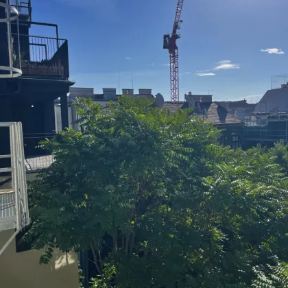 ERSTBEZUG IM DACHGESCHOSS UM 6.300/QM! Wunderschöne 2 Zimmer mit Terrasse und verglaster Loggia! - Bild 3