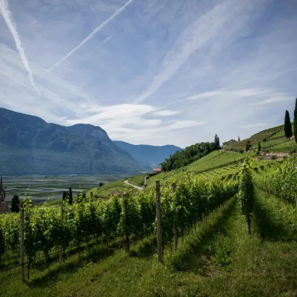 Exklusiv! Besondere Anwesen in der wunderschönen Südsteiermark – Ihr Rückzugsort mit Charme, Komfort und einen unvergleichbarem Flair! - Bild 3