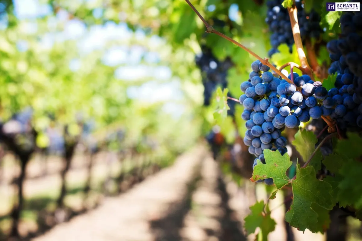 Exklusiv! Besondere Anwesen in der wunderschönen Südsteiermark – Ihr Rückzugsort mit Charme, Komfort und einen unvergleichbarem Flair! - Bild 1