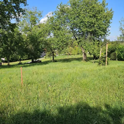 Sehr schönes und sonniges Baugrundstück in Ruhelage - Bild 3
