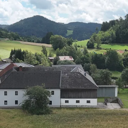 Mühlviertler Vierkanthof mit rund 15,2 Hektar Wald, Wiesen und Äckern in Fürlinger Dorfrandlage (Gutau) - Bild 2