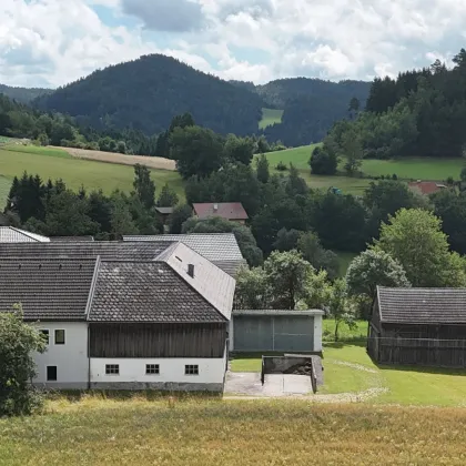 Mühlviertler Vierkanthof mit rund 15,2 Hektar Wald, Wiesen und Äckern in Fürlinger Dorfrandlage (Gutau) - Bild 3