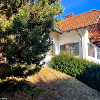 RÜCKZUGSORT IM JOGLLAND! Landhausvilla mit Wellness & Jagdhausoption! - Bild 2