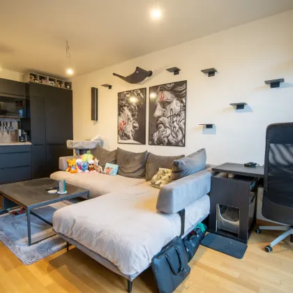 Pärchenhit in Fußnähe zur Neuen Donau - Bild 3