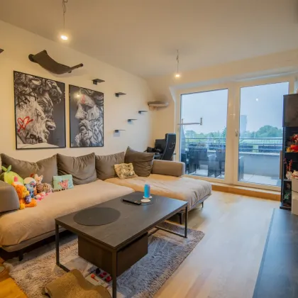 Pärchenhit in Fußnähe zur Neuen Donau - Bild 2