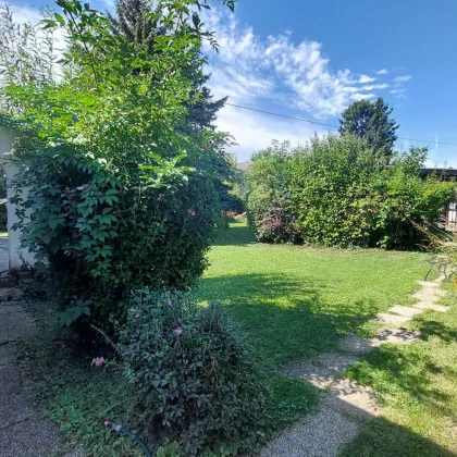 Steinbrunner Seesiedlung.... 100m² zum tollen Preis ! - Bild 2