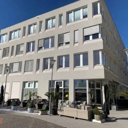 Zentrales Büro mit sonnigem Grünblick - Bild 2
