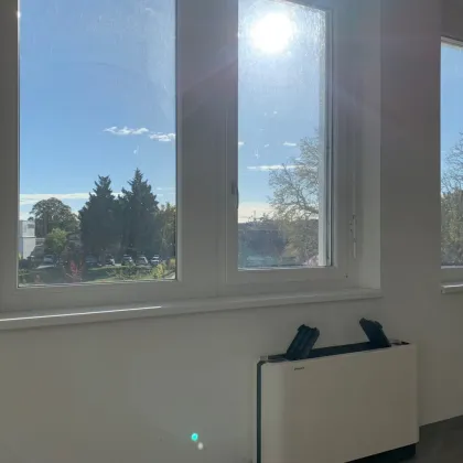 Zentrales Büro mit sonnigem Grünblick - Bild 3