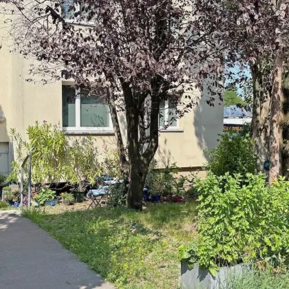 Charmante 2-Zimmer-Wohnung mit Blick ins Grüne - Mauer! - Bild 2