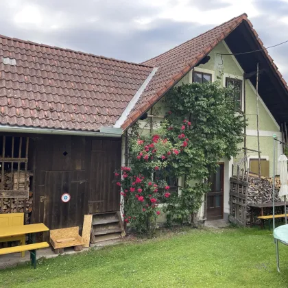 Liegenschaft mit 2 Wohnhäusern und Wirtschaftsgebäuden in Ruhelage - Bild 3